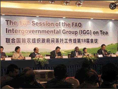 联合国粮农组织政府间茶叶工作组第18届会议