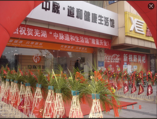 2010年1月9日中脉科技生活馆开业典礼芜湖同传设备租赁