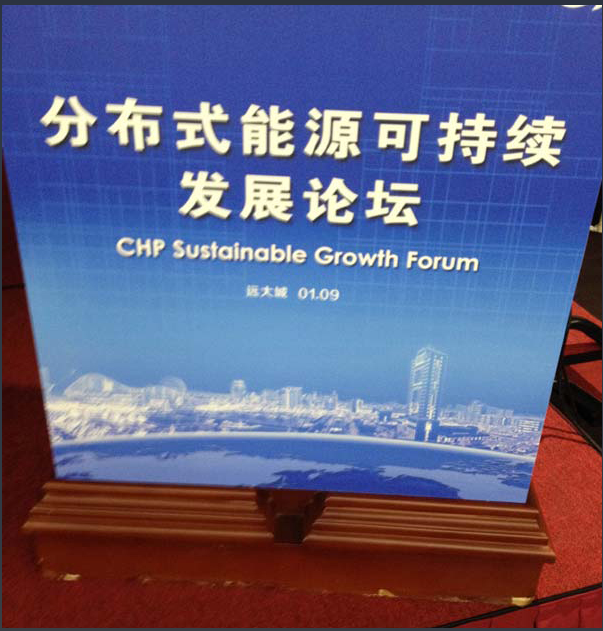中美分布式能源可持续发展论坛在长沙举行－百睿德提供同声翻译服务