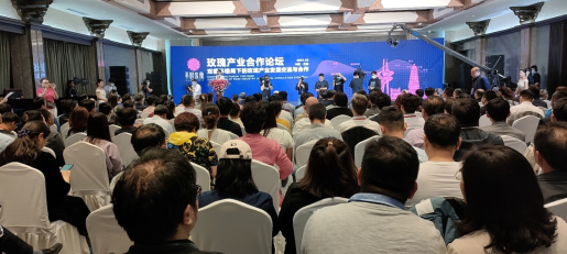 玫瑰产业合作论坛成功举办
